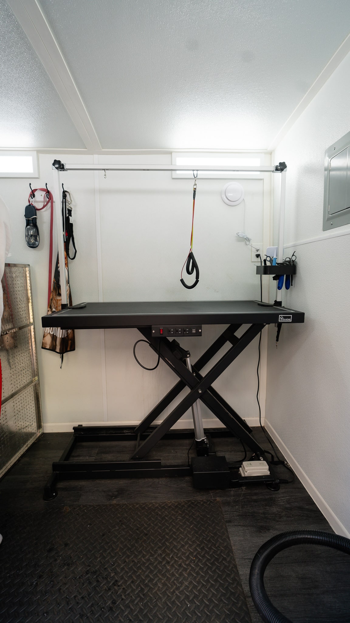 Professional grooming table and tools inside the Chubbs Mobile van